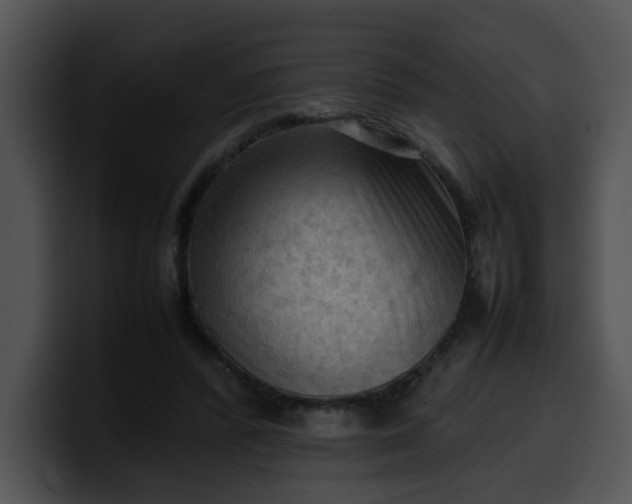 X0000099980400200806061528