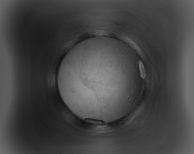 X0000099980401200806061528