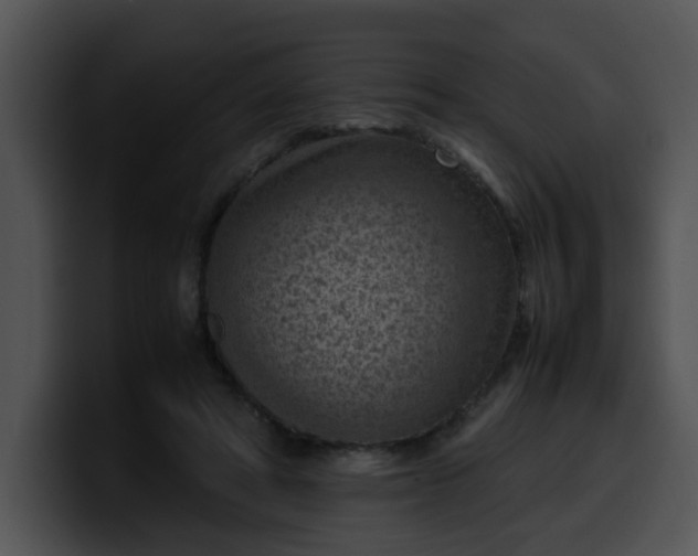 X0000099980402200806061528