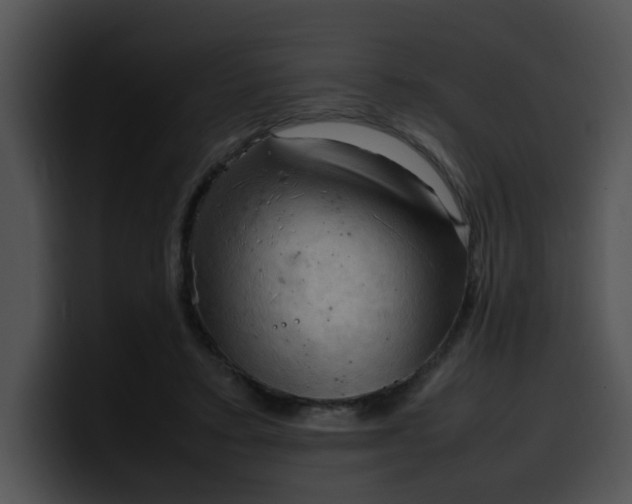 X0000099980403200806061528