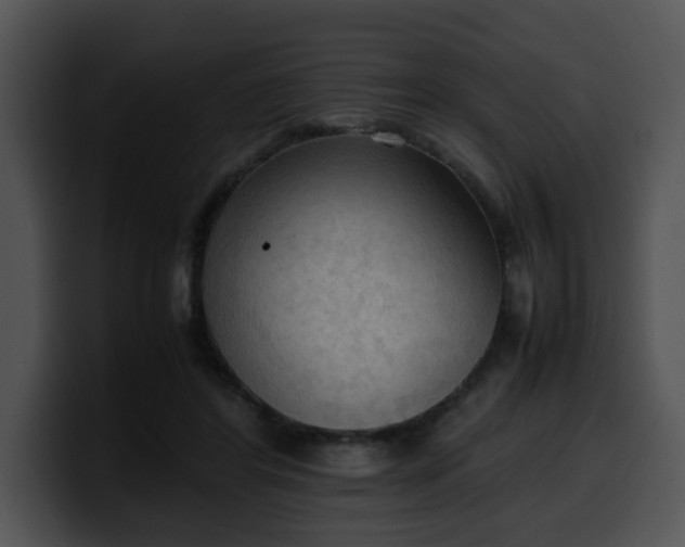 X0000099980404200806061528