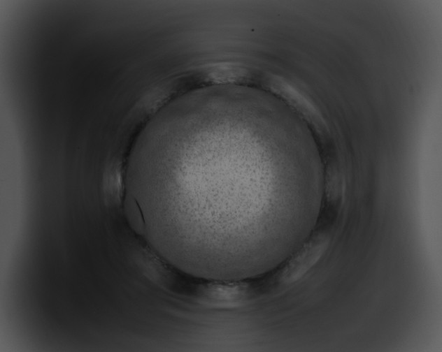 X0000099980405200806061528