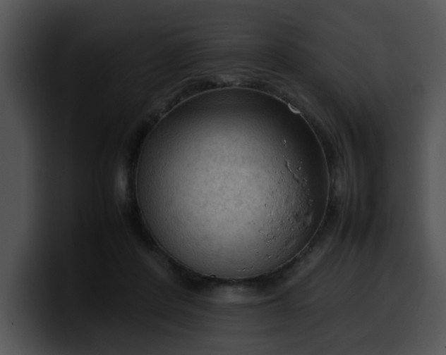 X0000099980408200806061528