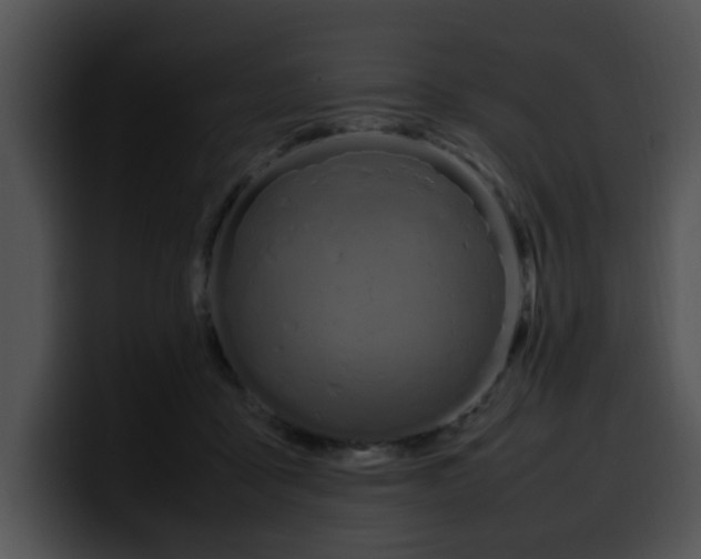 X0000099980411200806061527