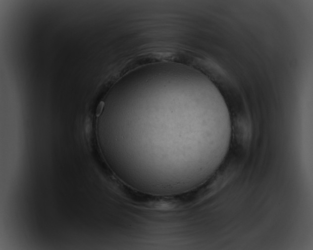 X0000099980412200806061527