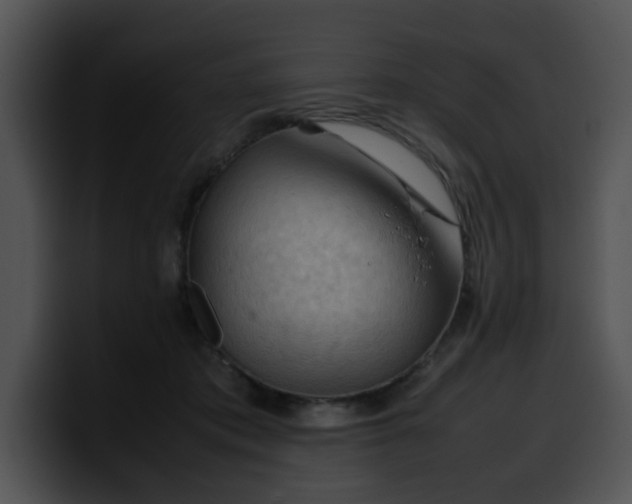 X0000099980413200806061527