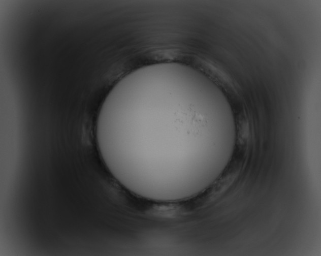 X0000099980414200806061527