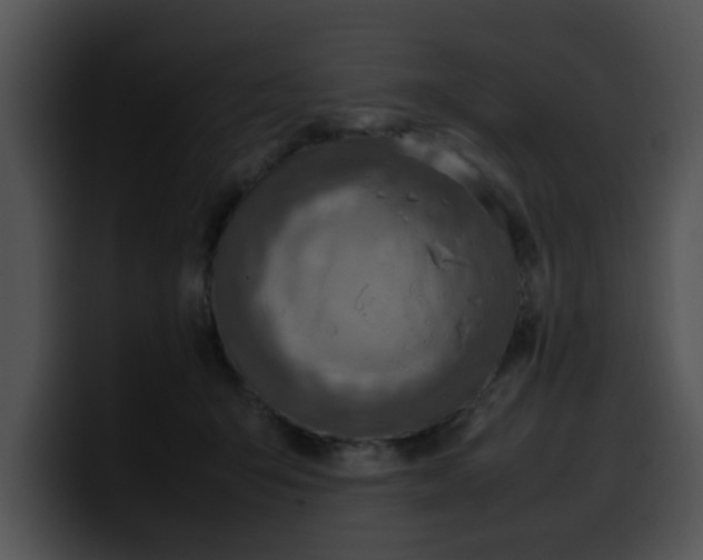 X0000099980415200806061527