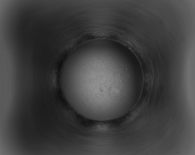 X0000099980416200806061527