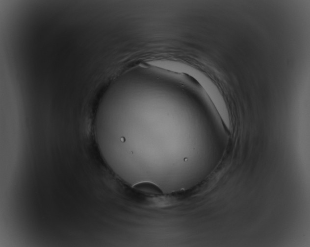 X0000099980417200806061527