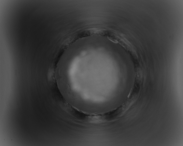 X0000099980419200806061527