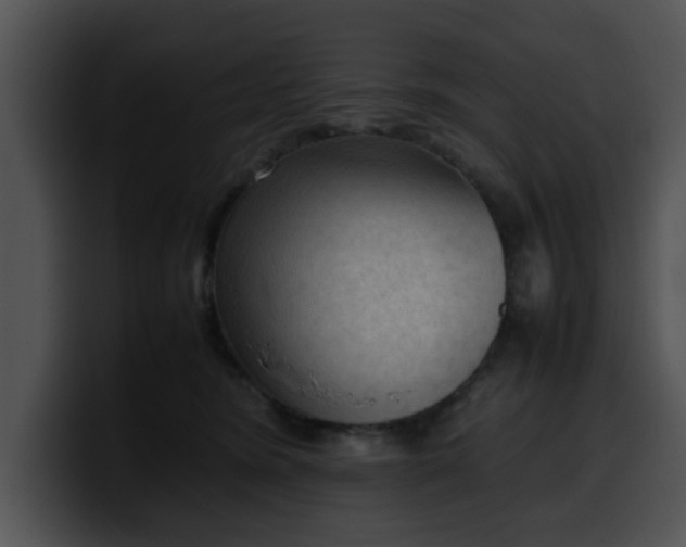 X0000099980420200806061527