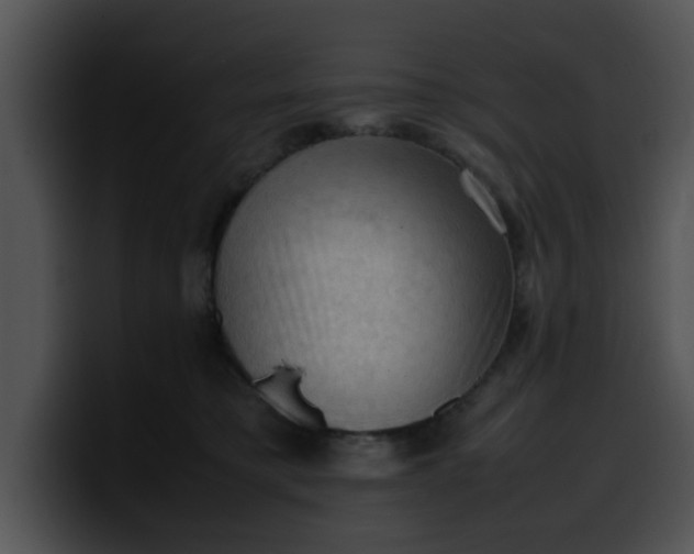 X0000099980421200806061527