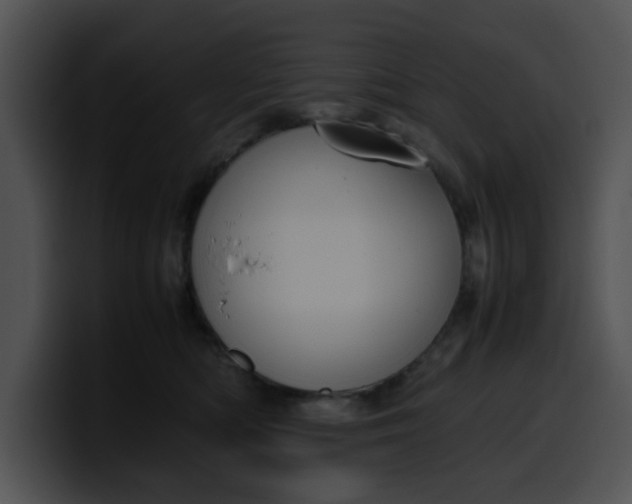 X0000099980422200806061527