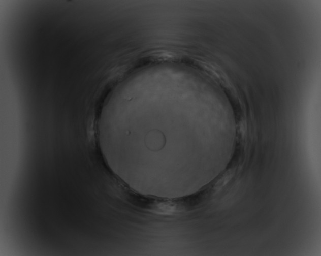 X0000099980423200806061527