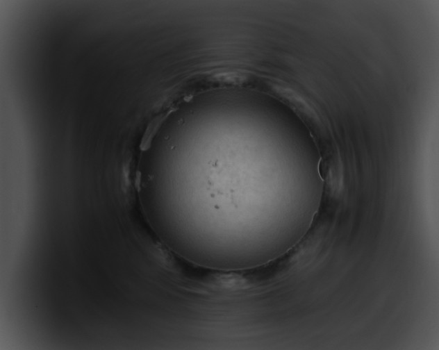 X0000099980424200806061527