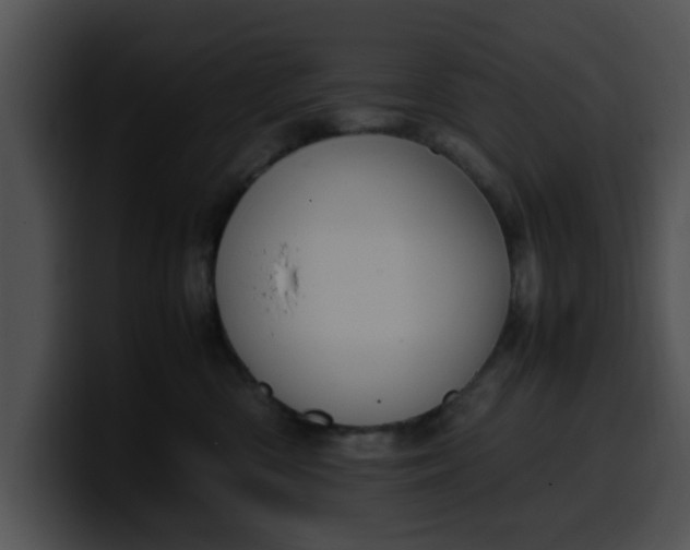 X0000099980426200806061527