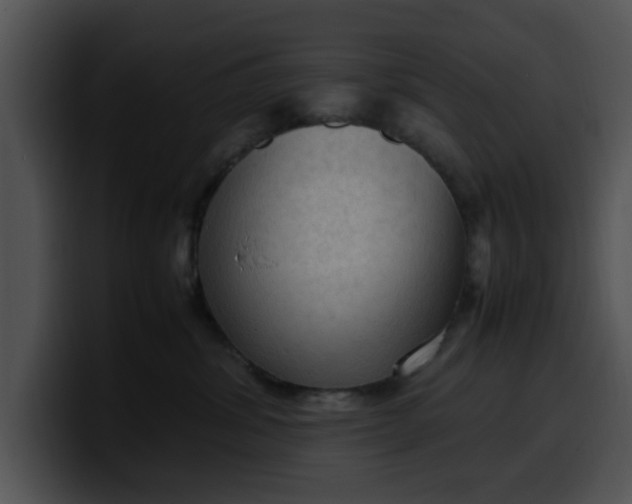 X0000099980428200806061527