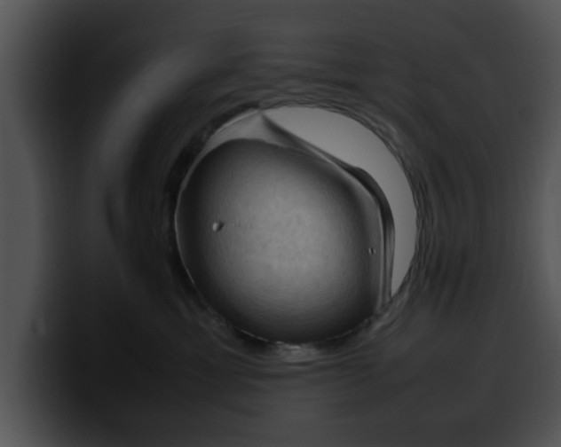 X0000099980429200806061527