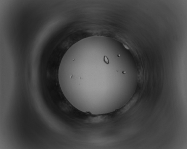 X0000099980430200806061527