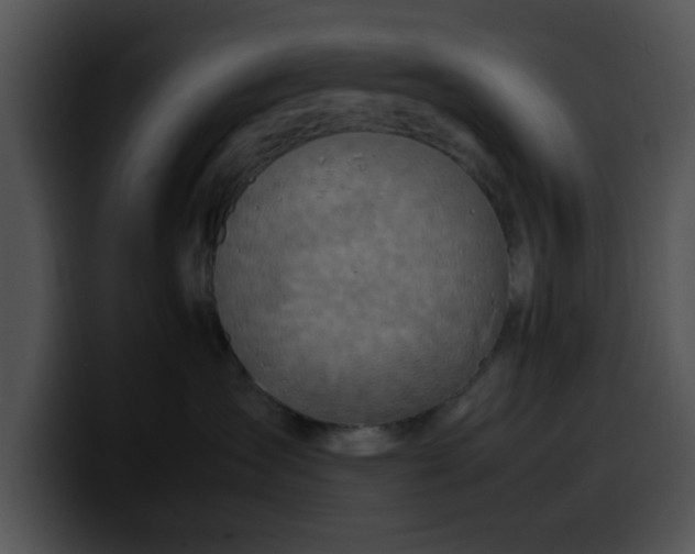 X0000099980431200806061527