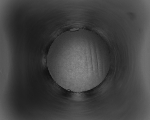 X0000099980432200806061527