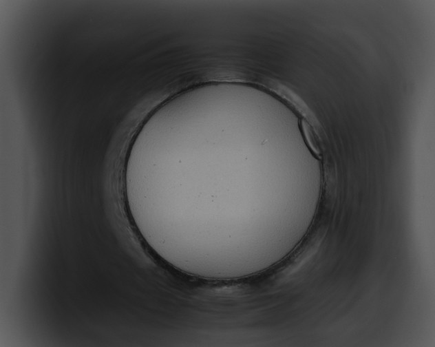 X0000099980433200806061527