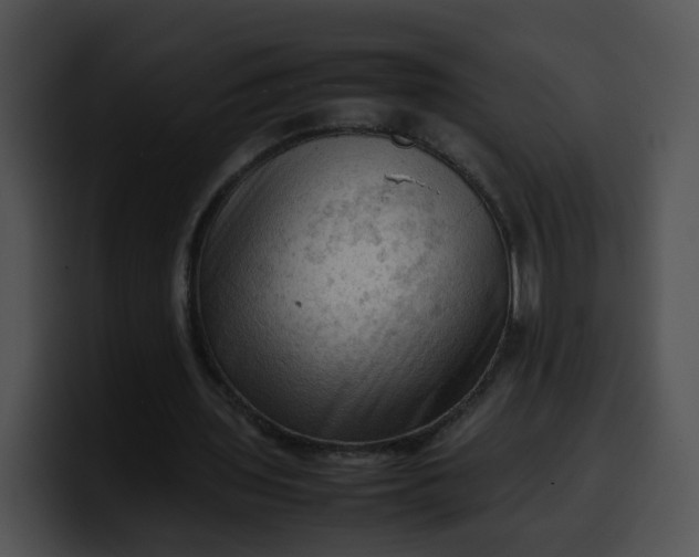 X0000099980435200806061527