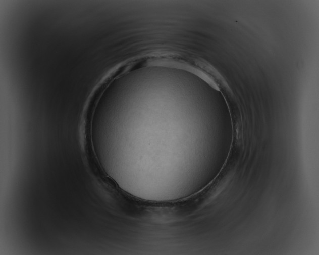 X0000099980436200806061527