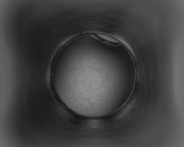 X0000099980437200806061527