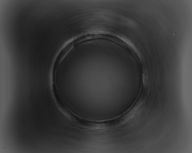 X0000099980438200806061527