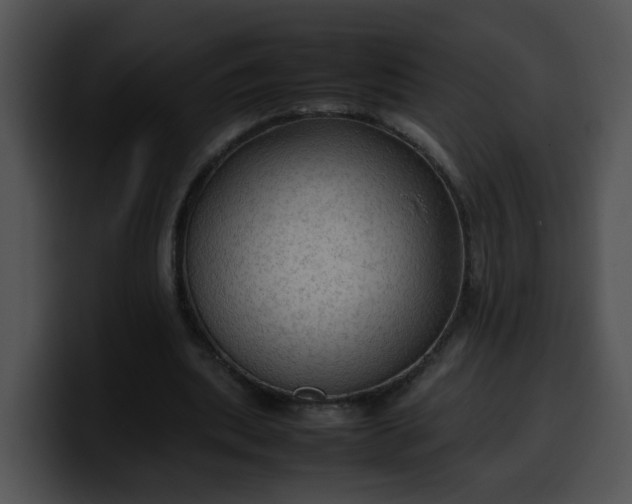 X0000099980439200806061527