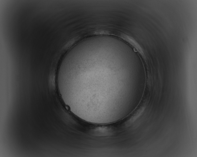 X0000099980441200806061527