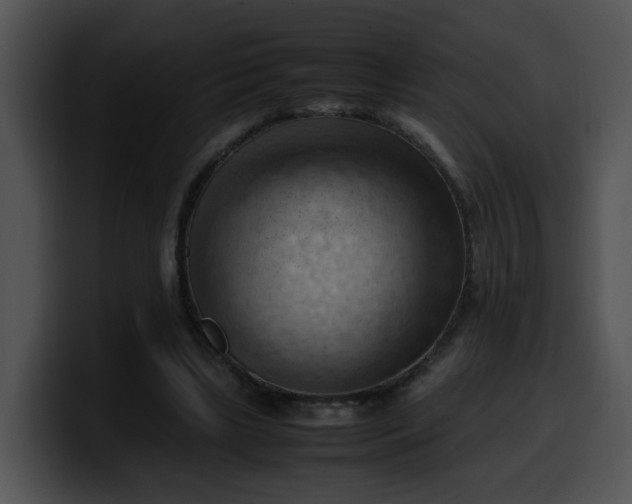 X0000099980443200806061527