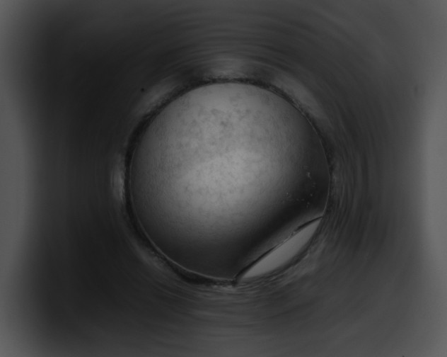 X0000099980446200806061527