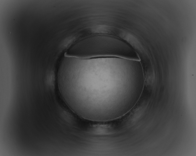 X0000099980448200806061527