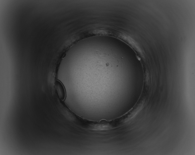 X0000099980449200806061527