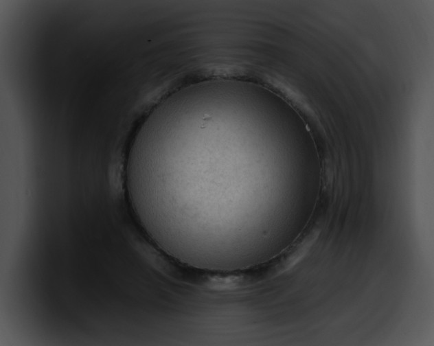 X0000099980450200806061527