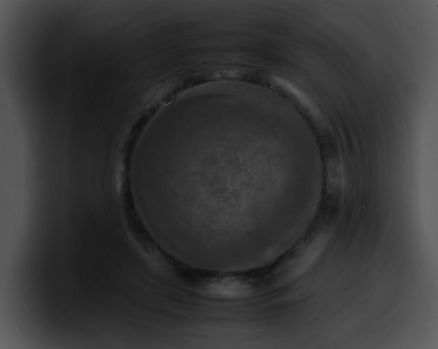 X0000099980451200806061527