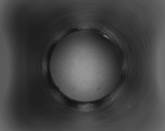 X0000099980452200806061527