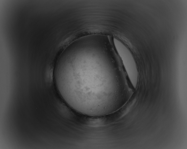 X0000099980454200806061527