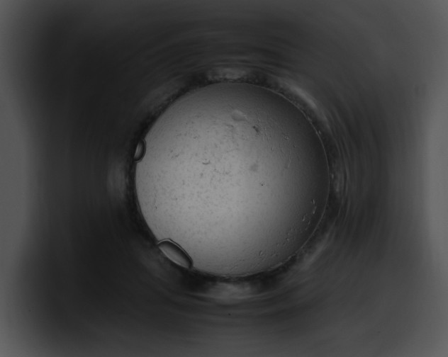 X0000099980455200806061527