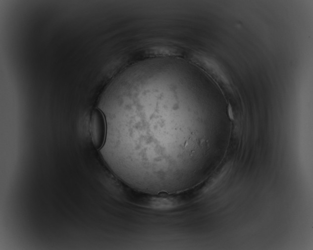 X0000099980457200806061527