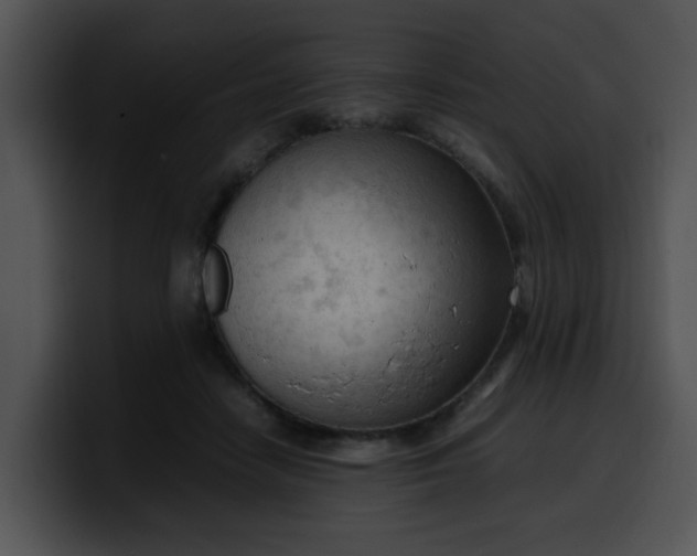 X0000099980458200806061527