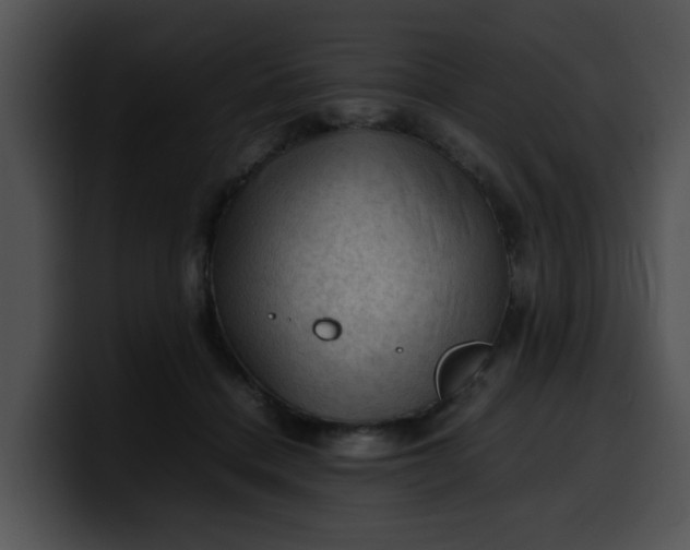 X0000099980460200806061527