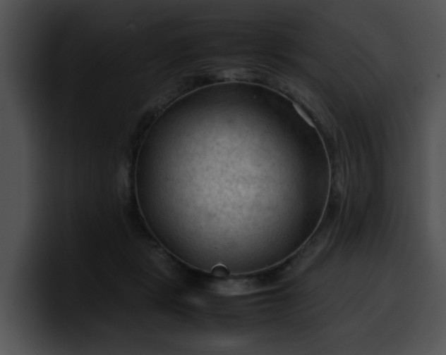 X0000099980461200806061527