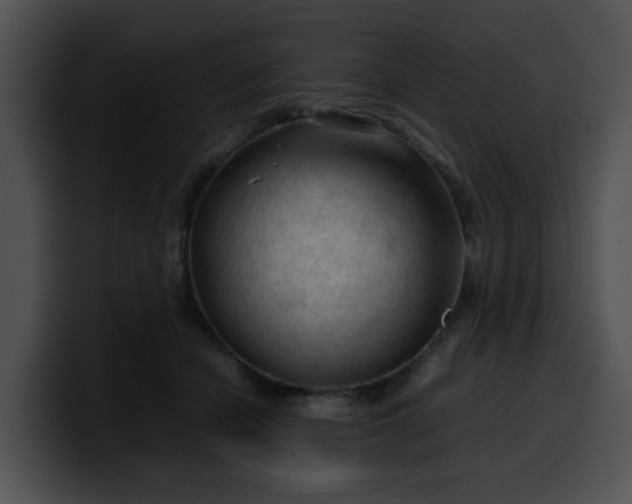 X0000099980462200806061527