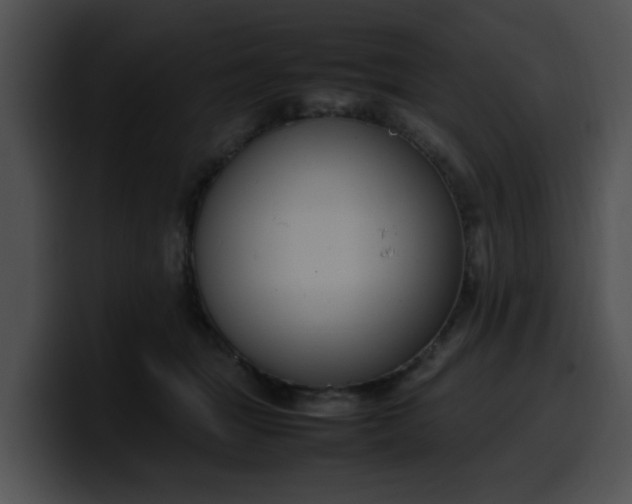 X0000099980463200806061527