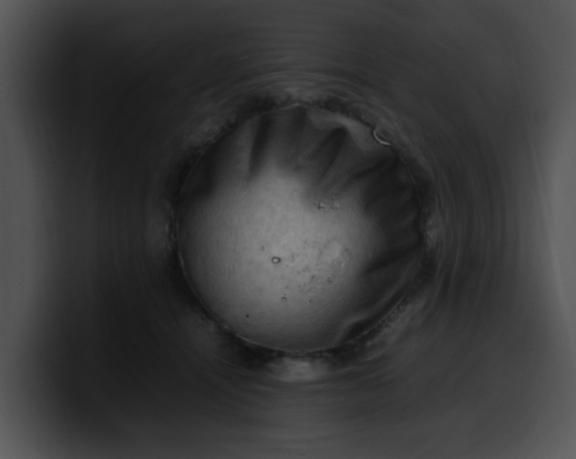 X0000099980464200806061527