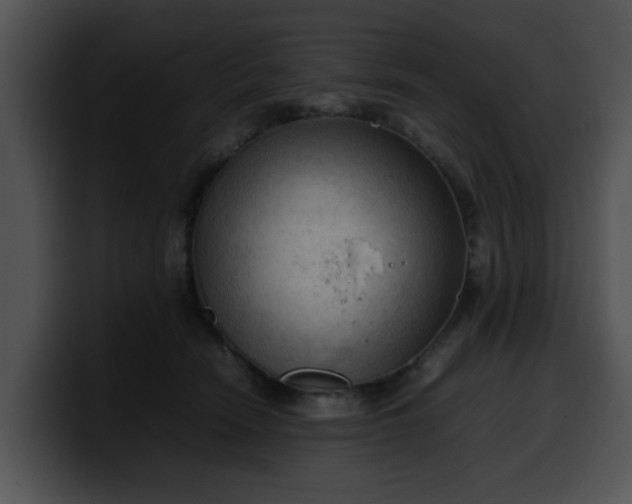 X0000099980466200806061527